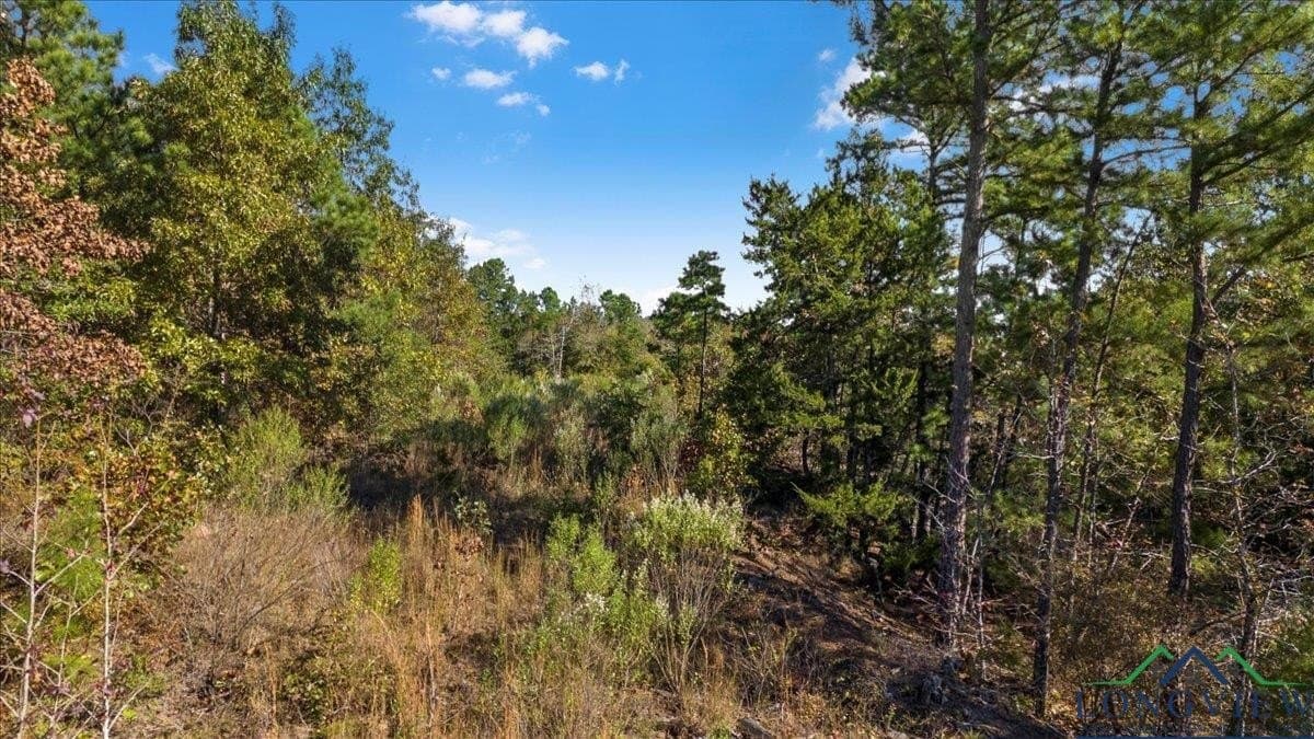 106.99 acres in Upshur County - photo 12