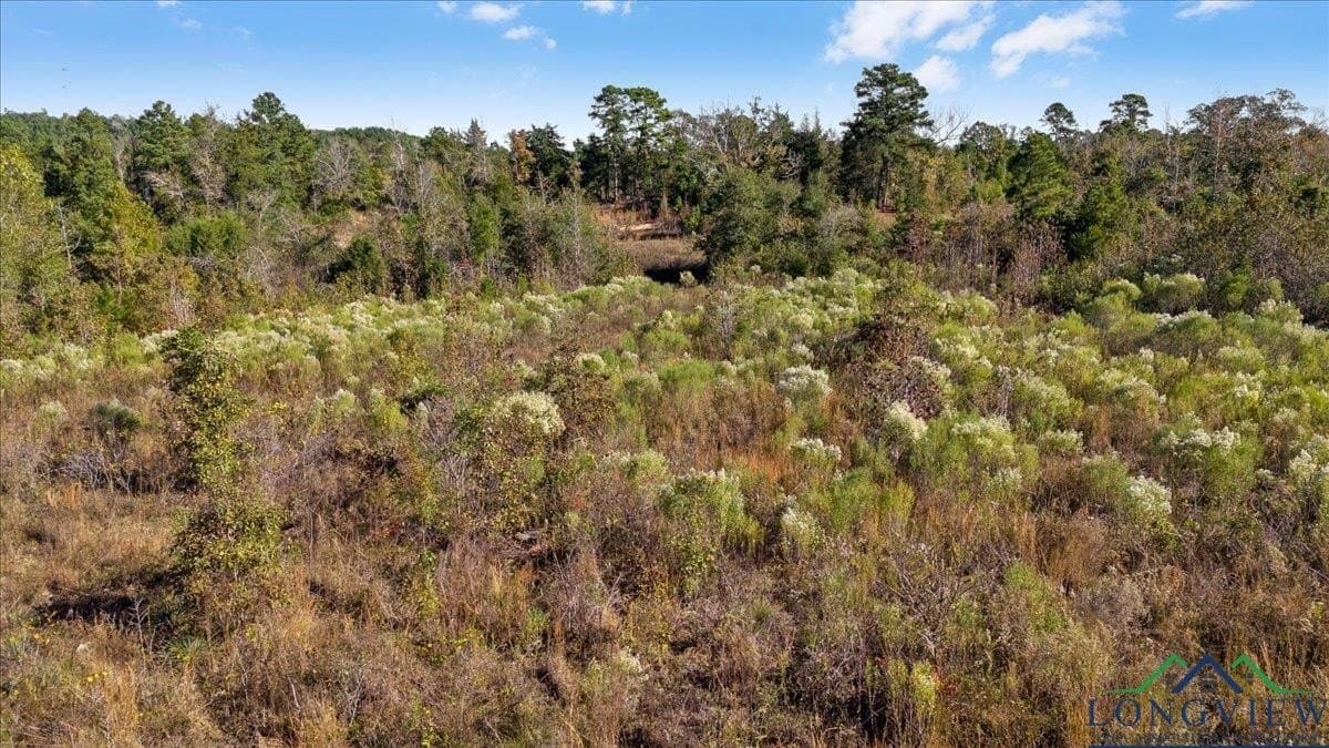 106.99 acres in Upshur County - photo 6