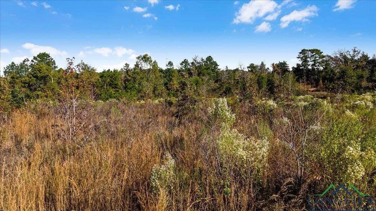 106.99 acres in Upshur County - photo 8