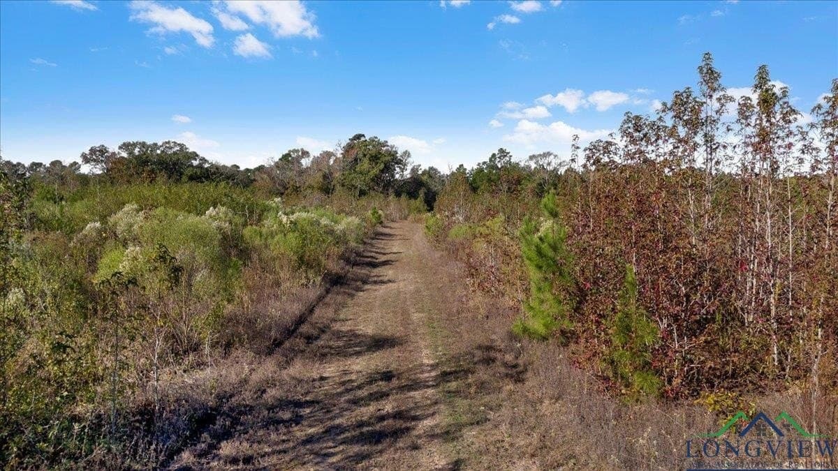 106.99 acres in Upshur County - photo 7