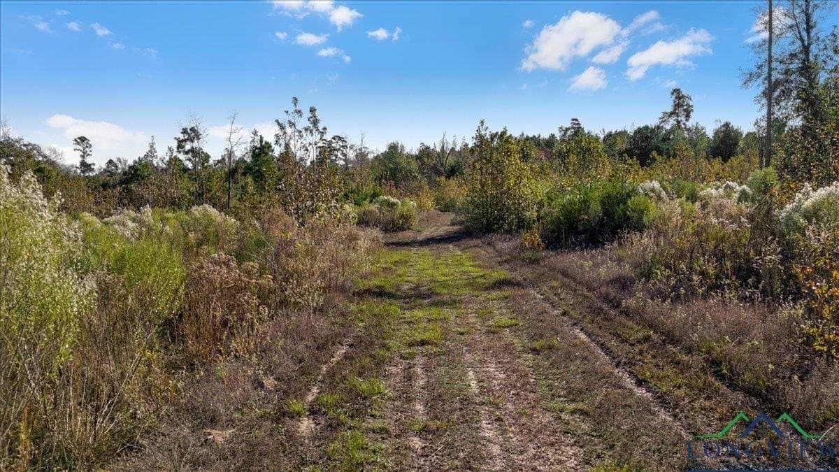 106.99 acres in Upshur County - photo 9