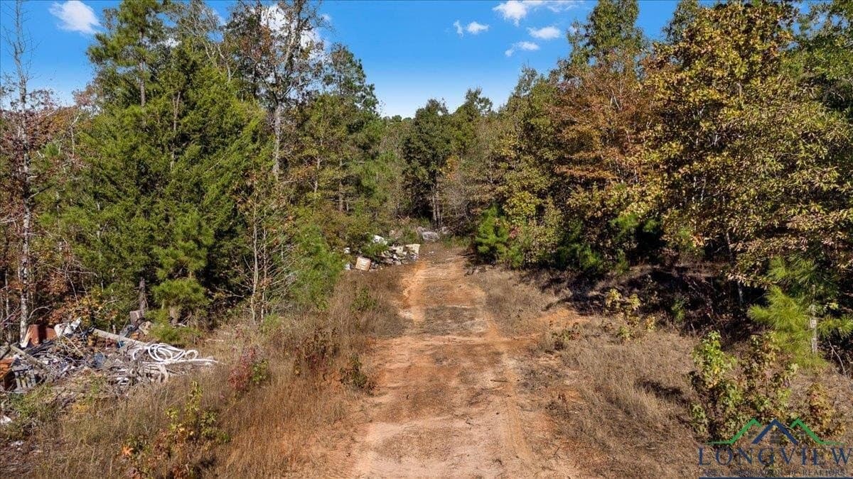 106.99 acres in Upshur County - photo 11