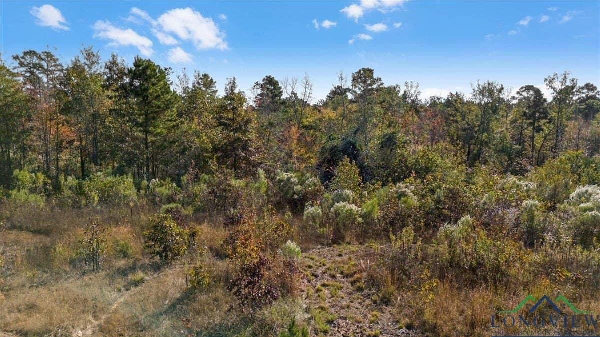 106.99 acres in Upshur County - photo 10