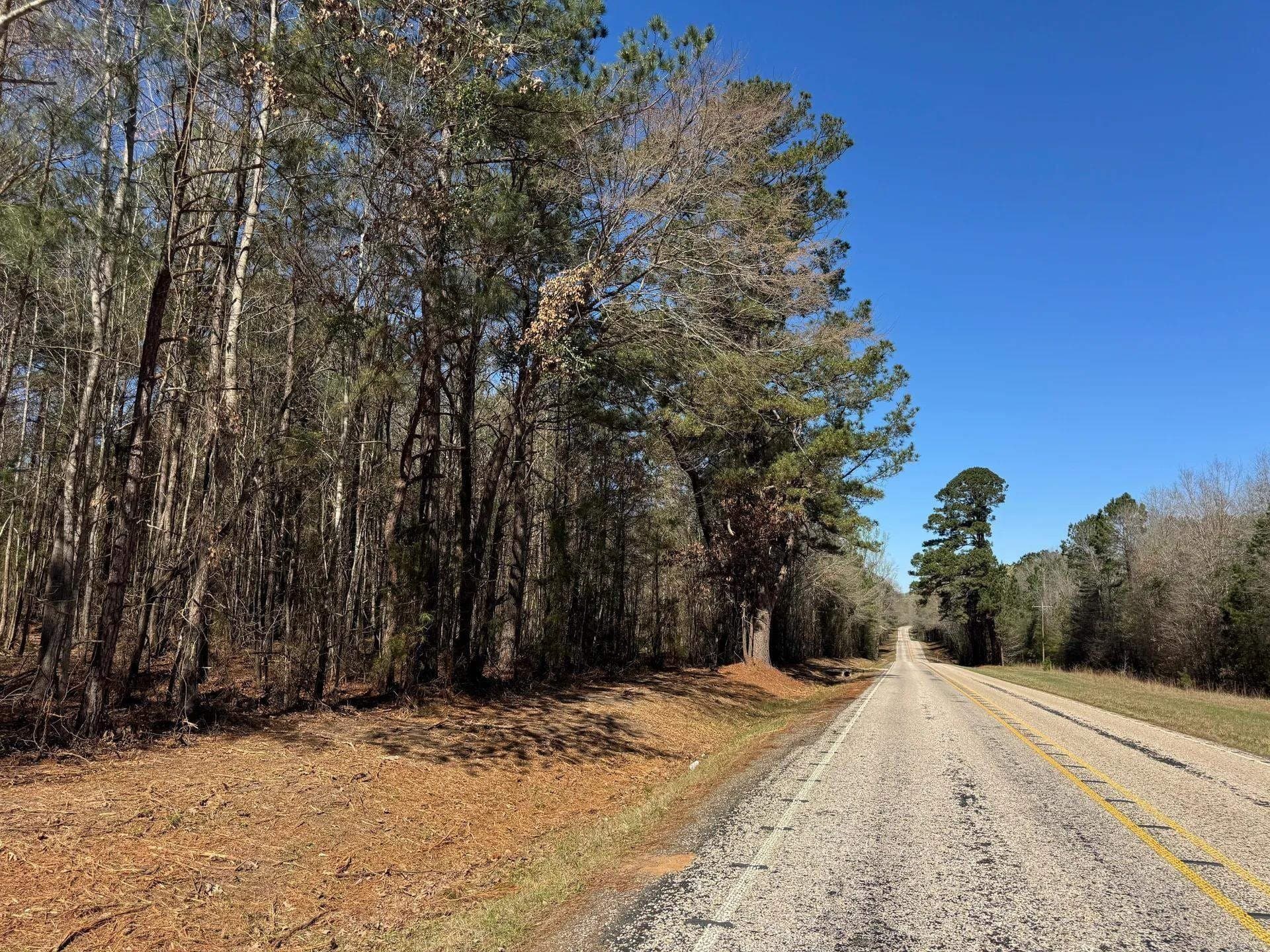 11.81 acres in Cass County - photo 31