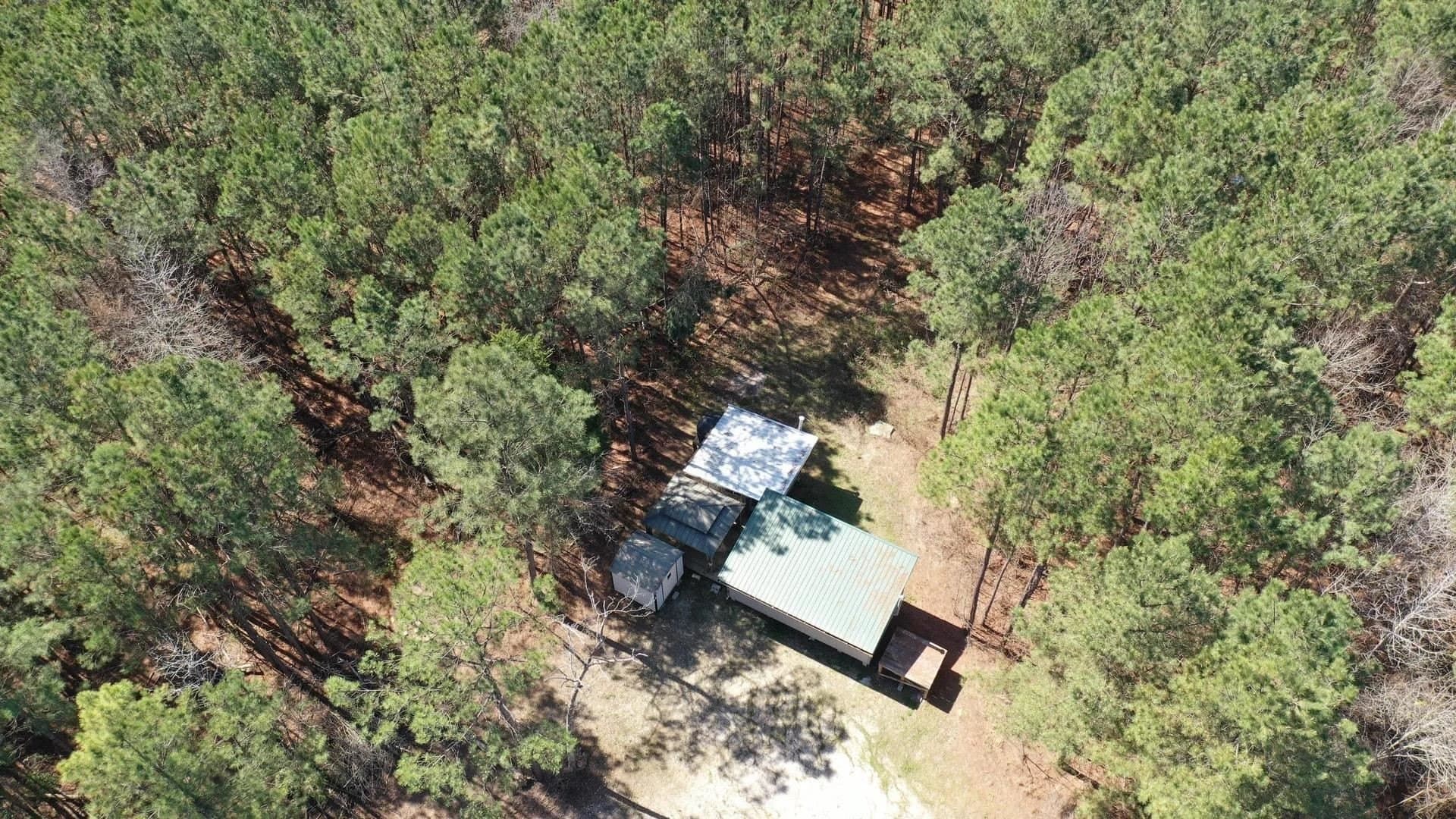 11.81 acres in Cass County - photo 6