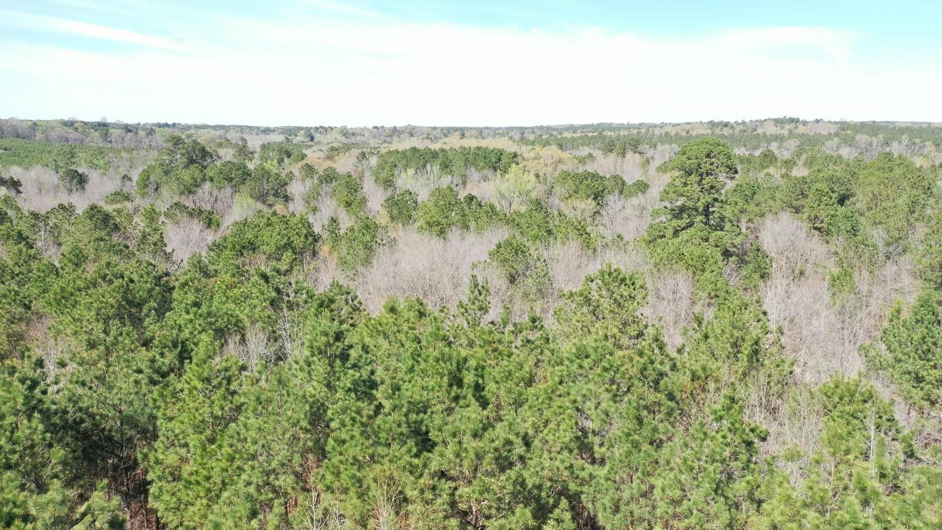 11.81 acres in Cass County - photo 2