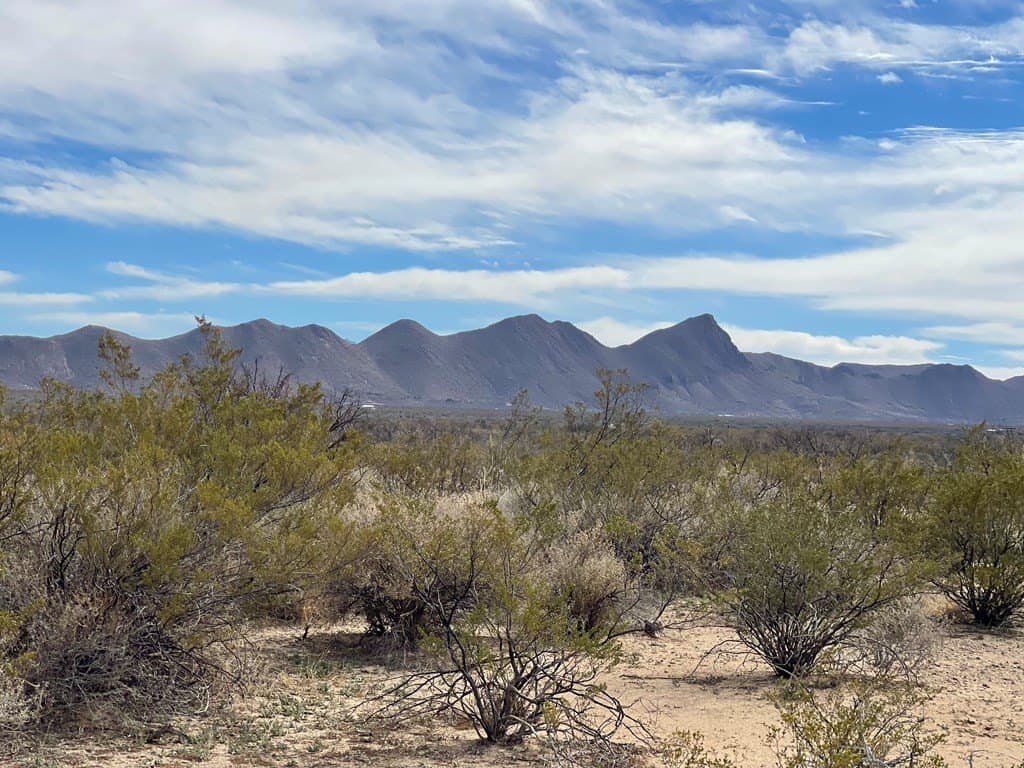 10 acres in Brewster County - photo 9
