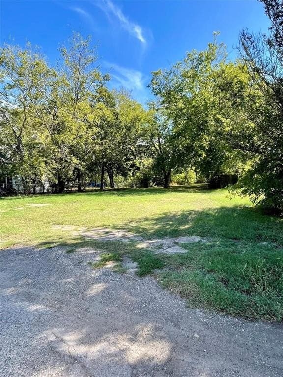 0.33 acres in Hunt County - photo 2