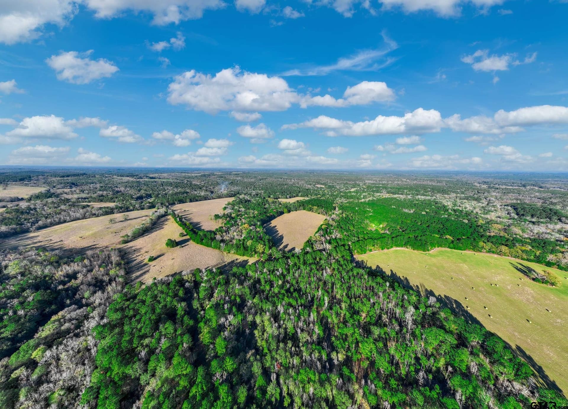 35.8 acres in Anderson County - photo 3