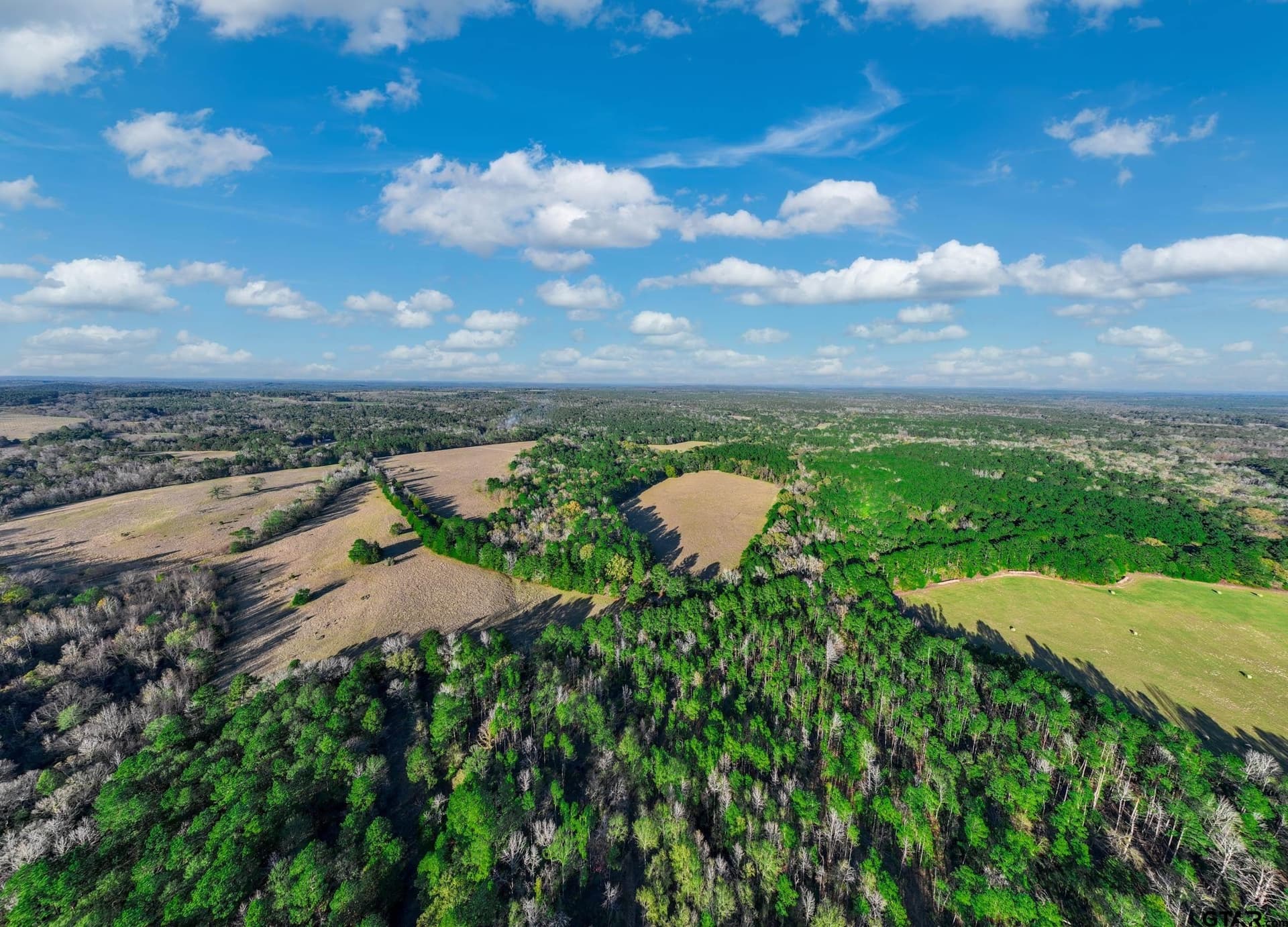 35.8 acres in Anderson County - photo 8