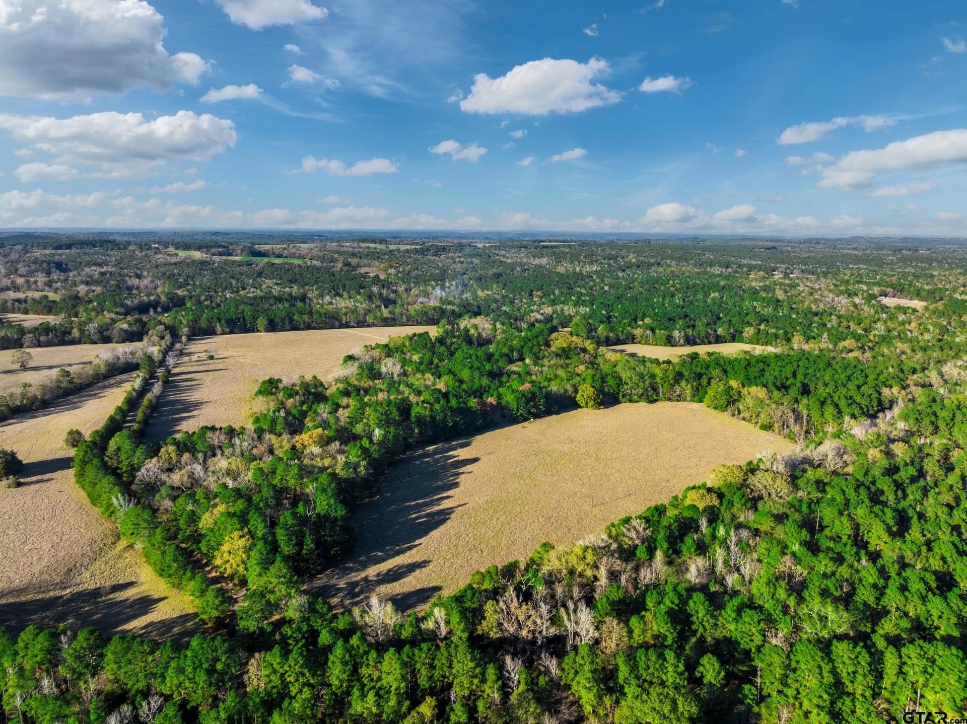 35.8 acres in Anderson County - photo 5