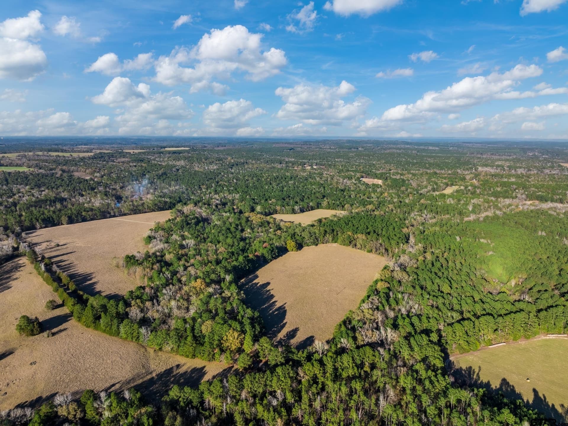 35.8 acres in Anderson County - photo 2