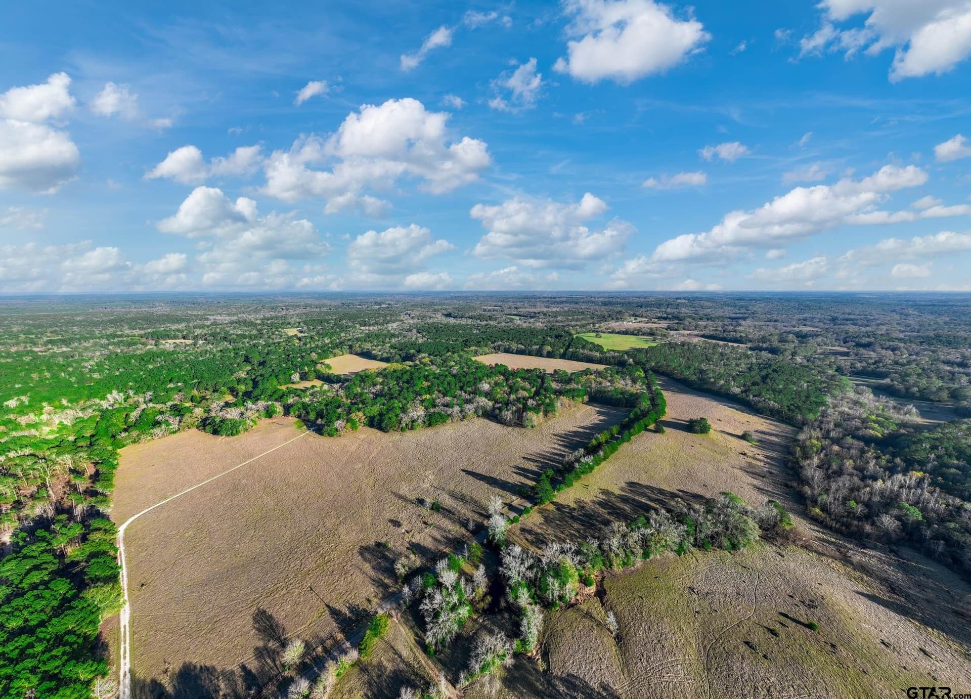 35.8 acres in Anderson County - photo 11