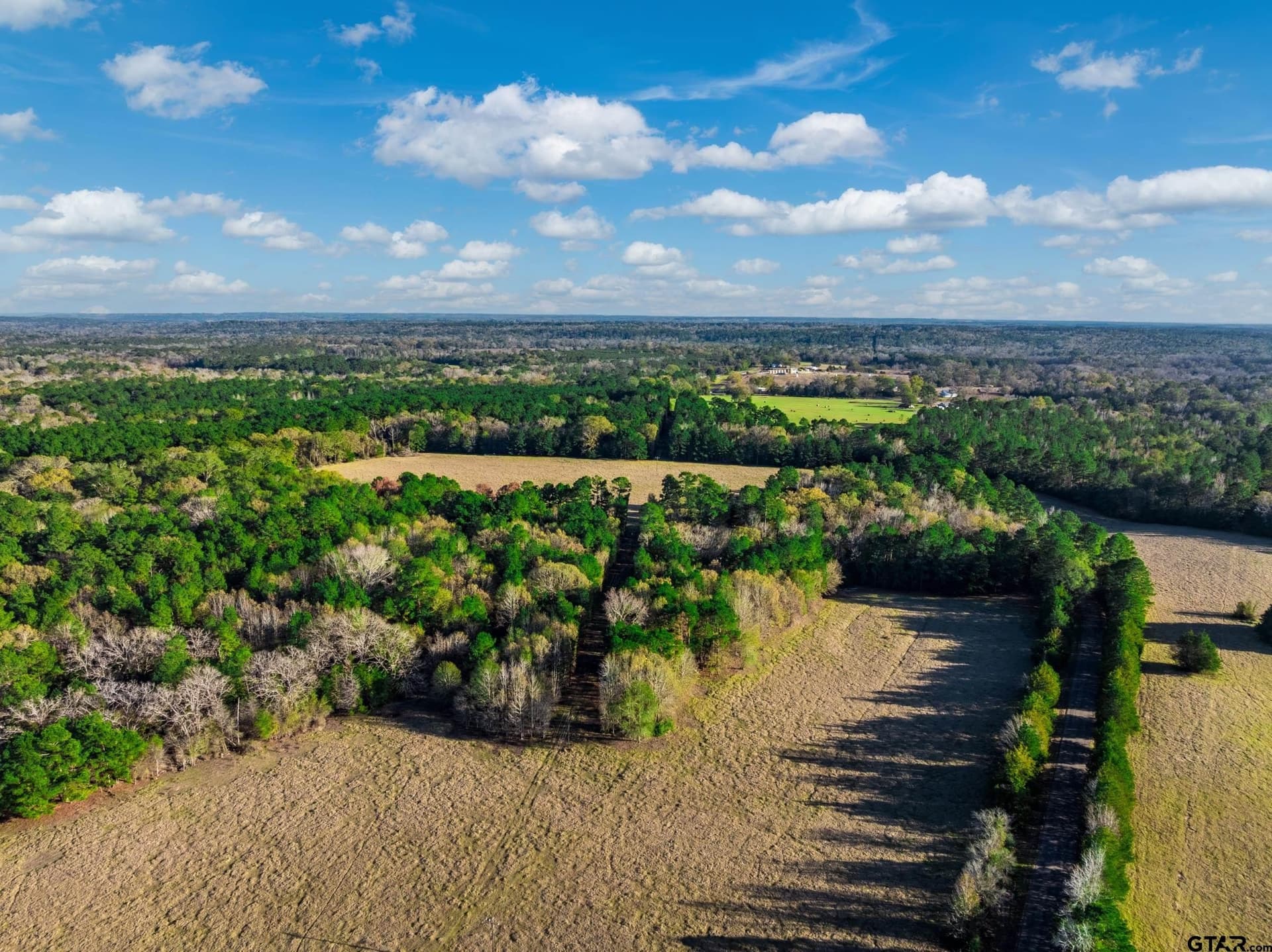 35.8 acres in Anderson County - photo 10