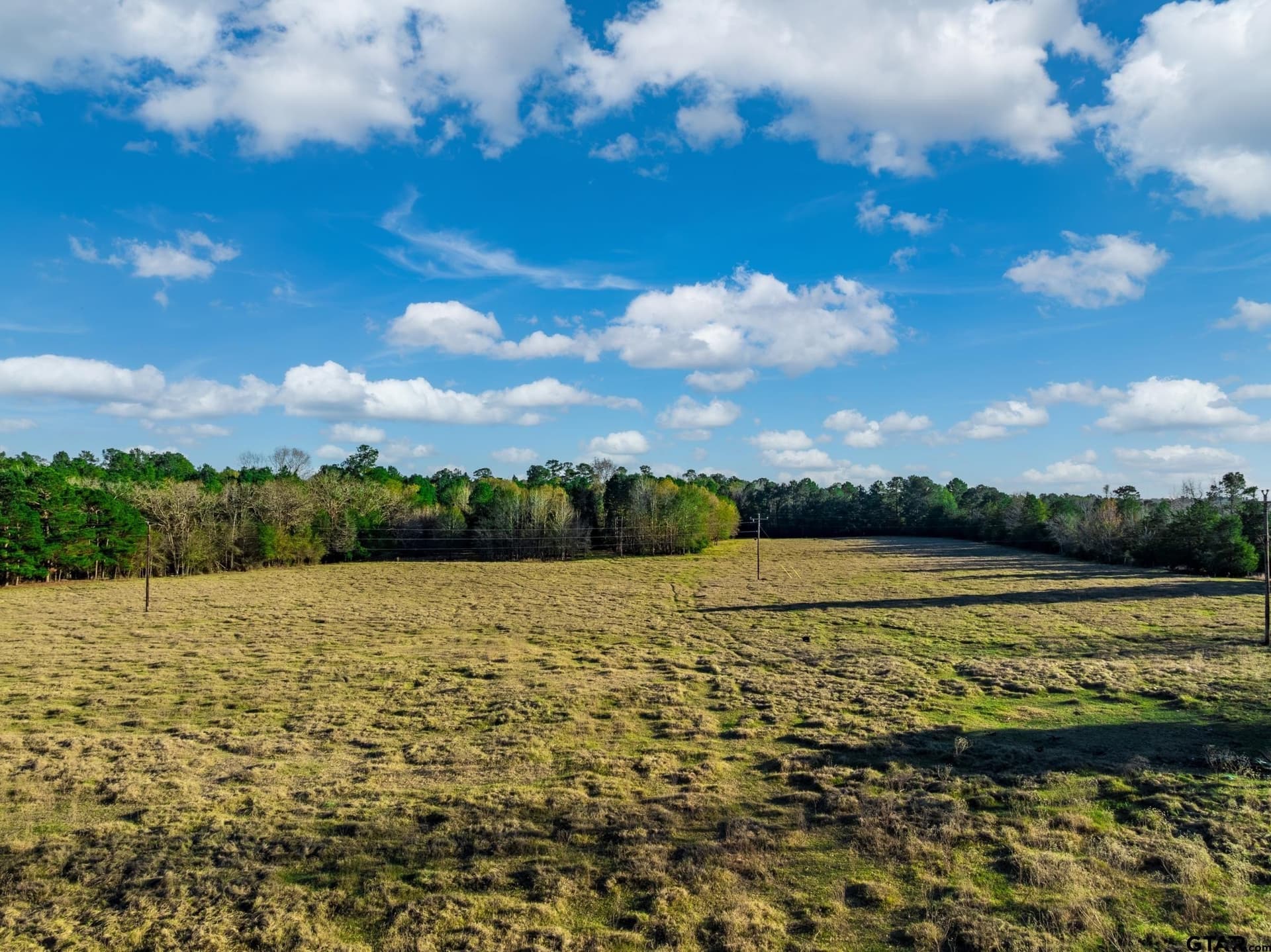 35.8 acres in Anderson County - photo 12