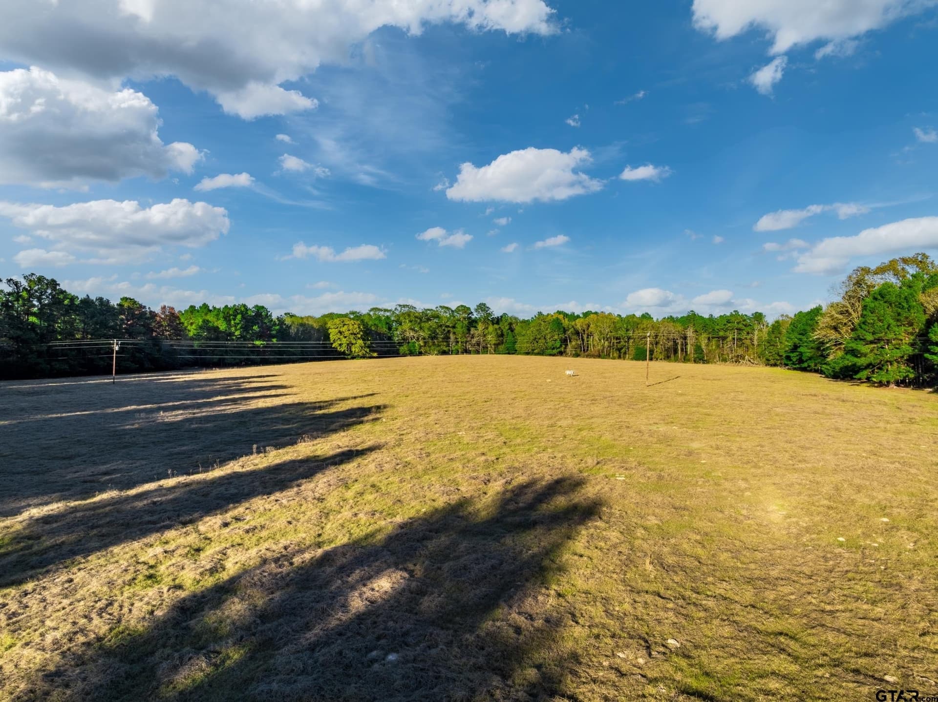 35.8 acres in Anderson County - photo 15
