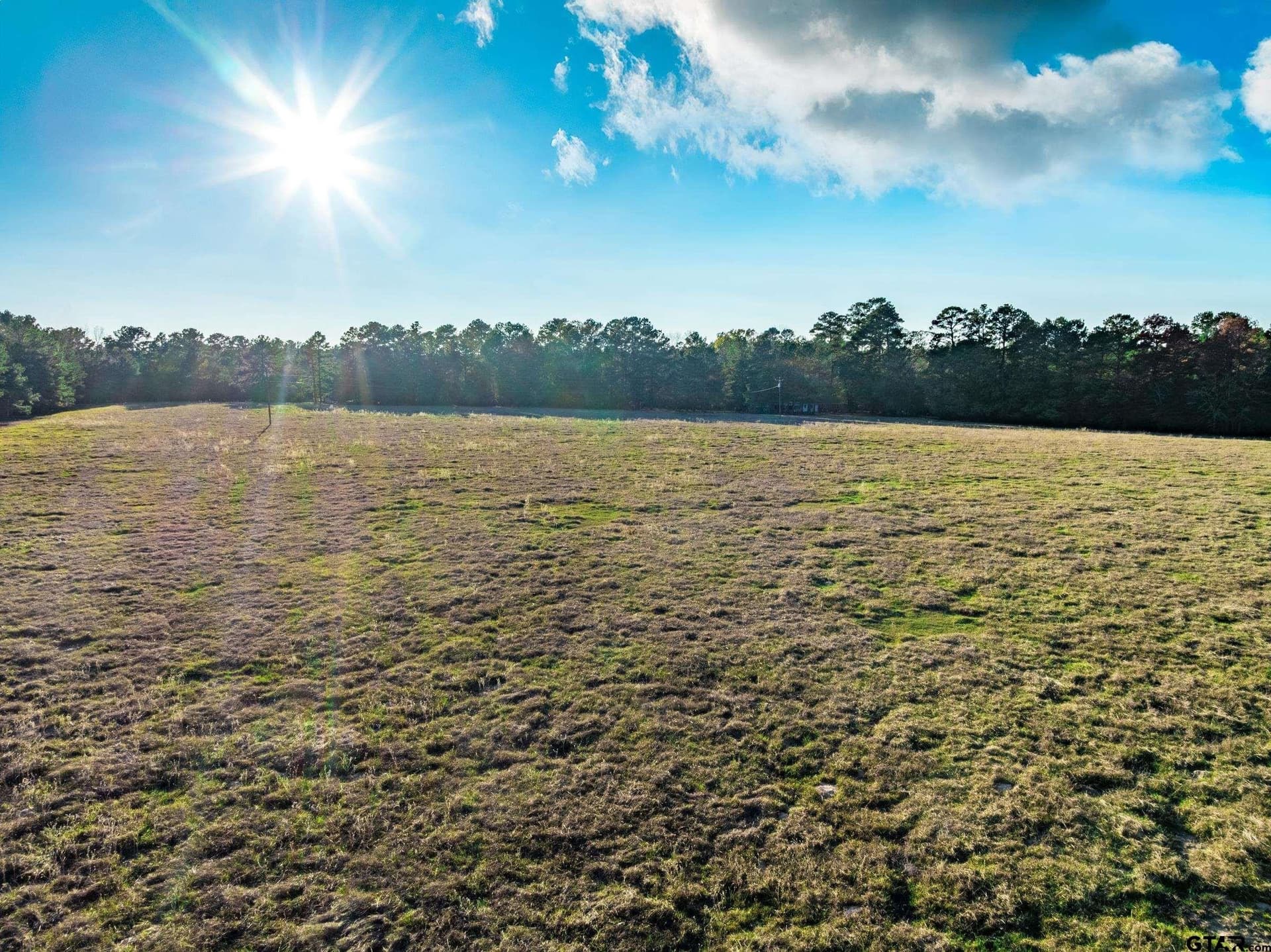 35.8 acres in Anderson County - photo 17