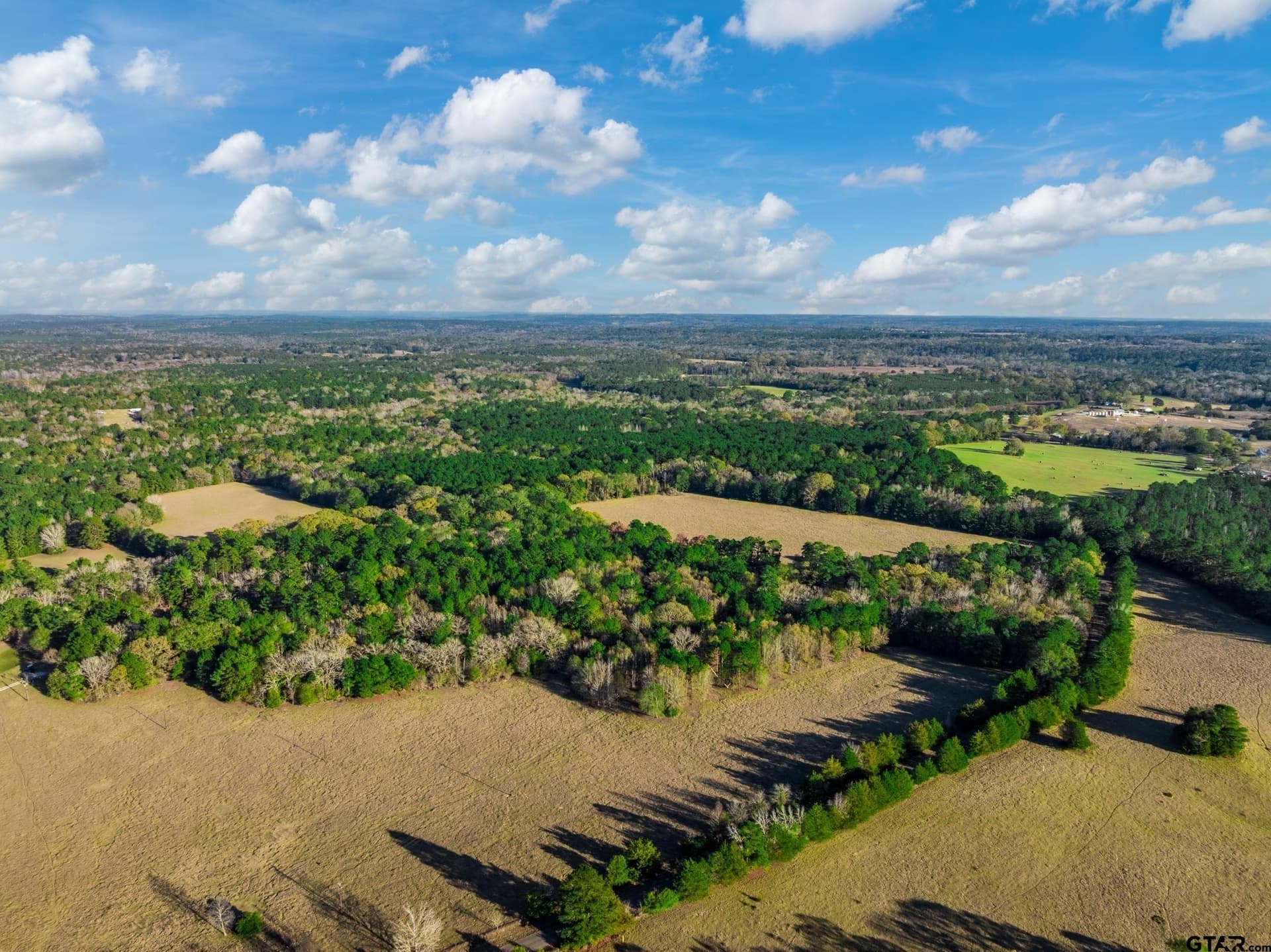 35.8 acres in Anderson County - photo 9