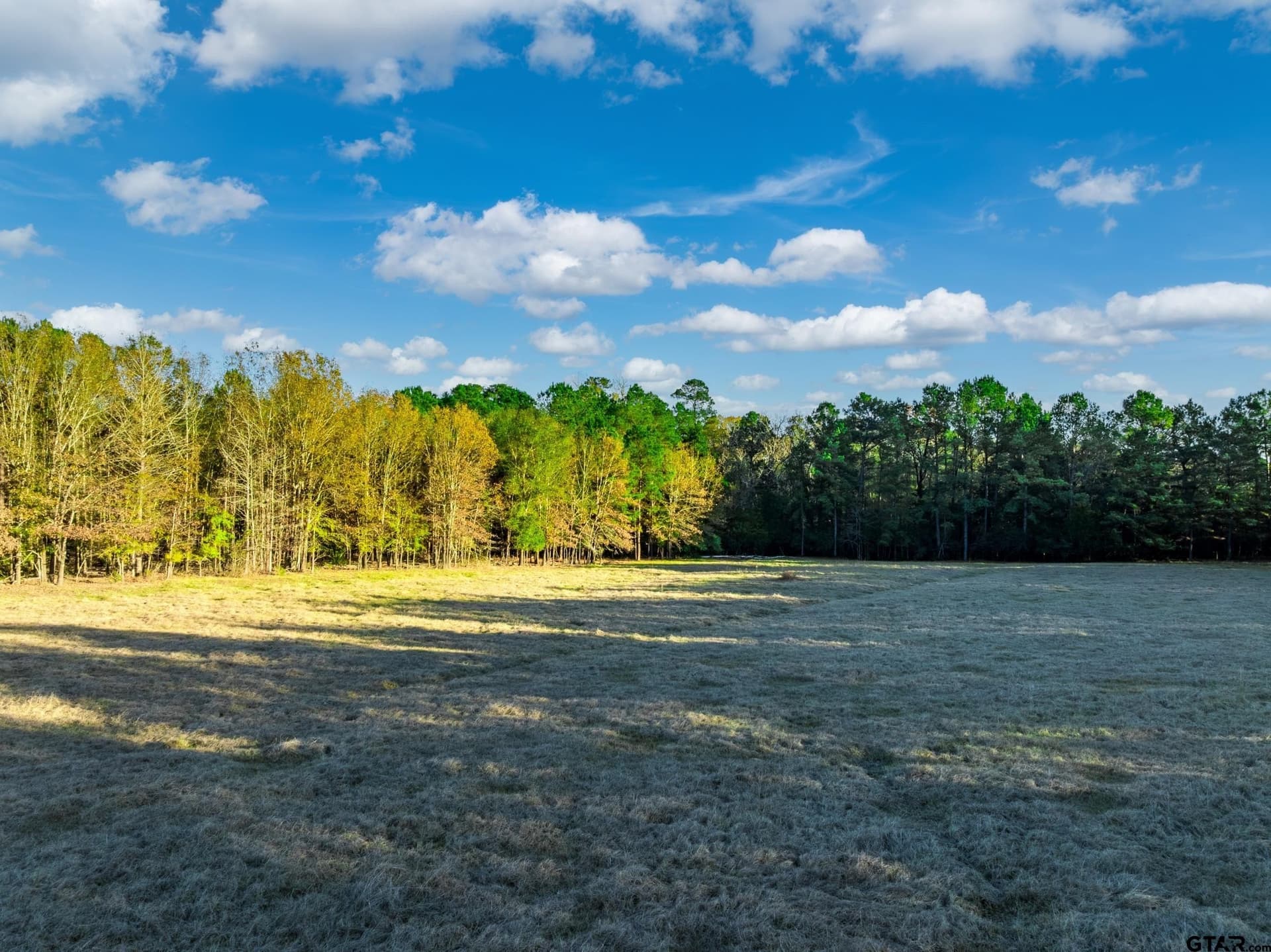 35.8 acres in Anderson County - photo 19