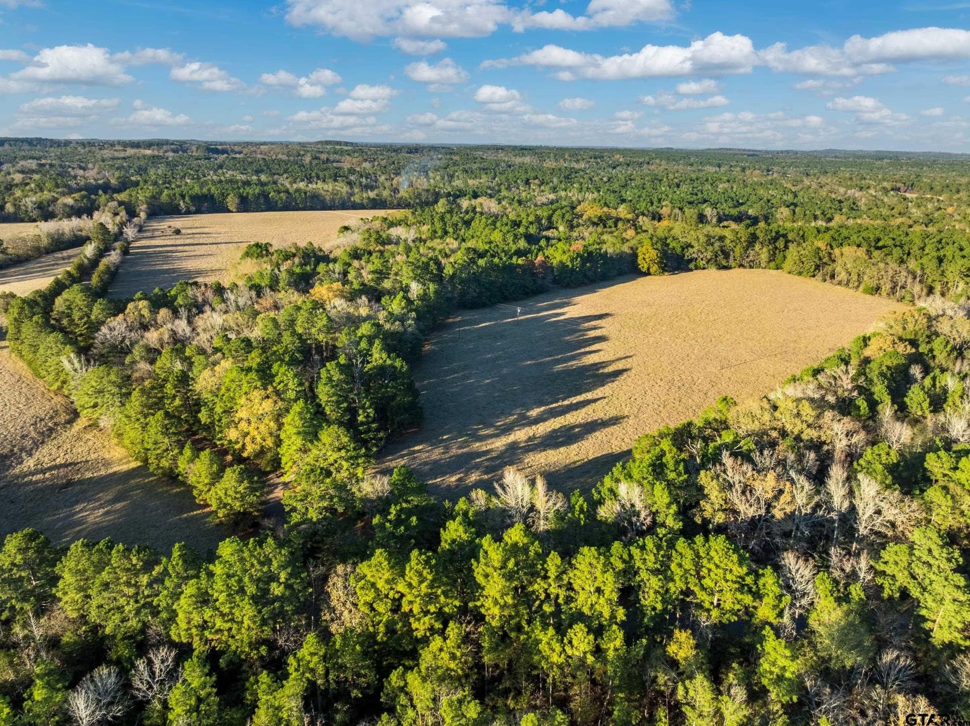 35.8 acres in Anderson County - photo 18