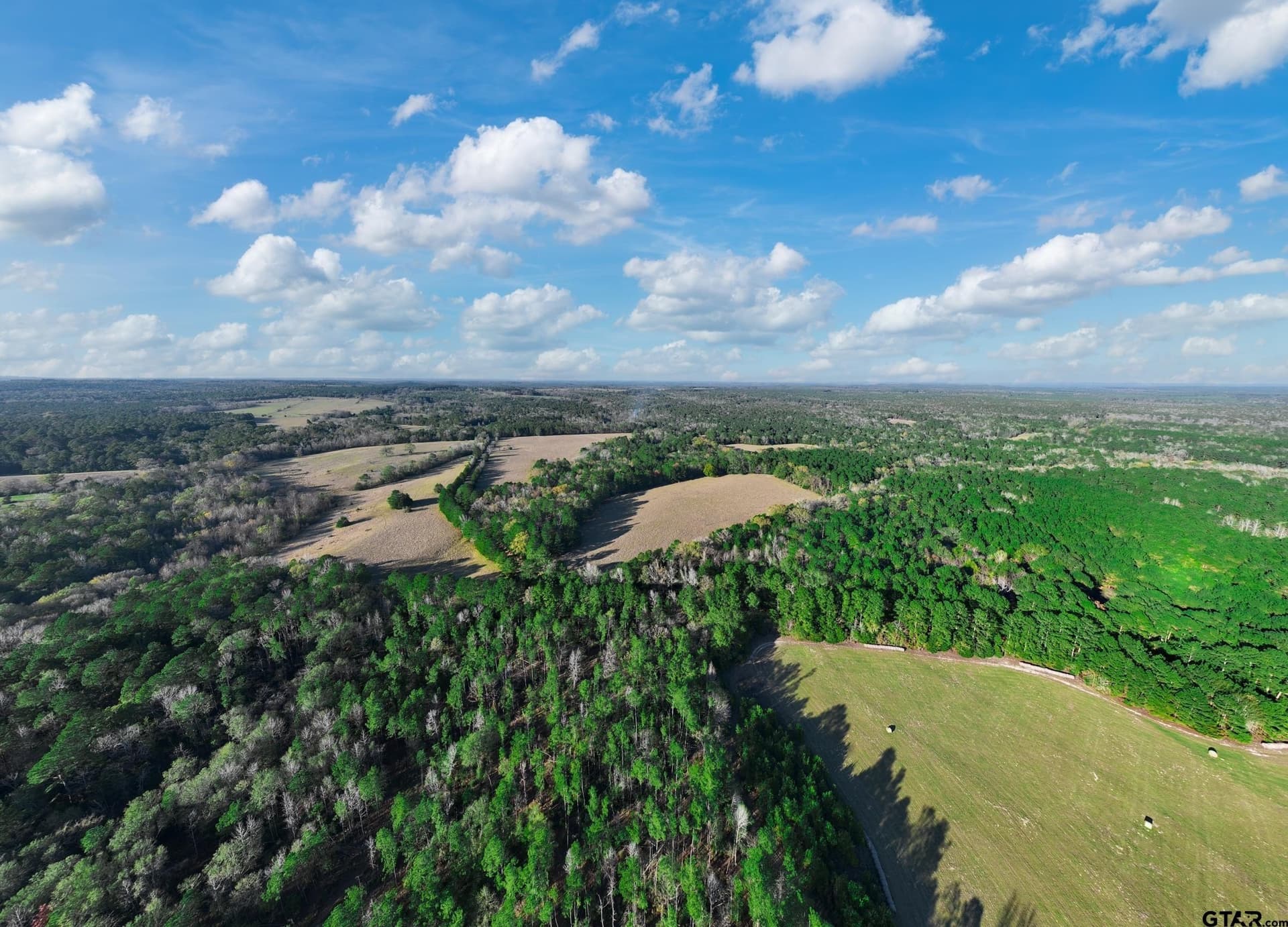 35.8 acres in Anderson County - photo 4