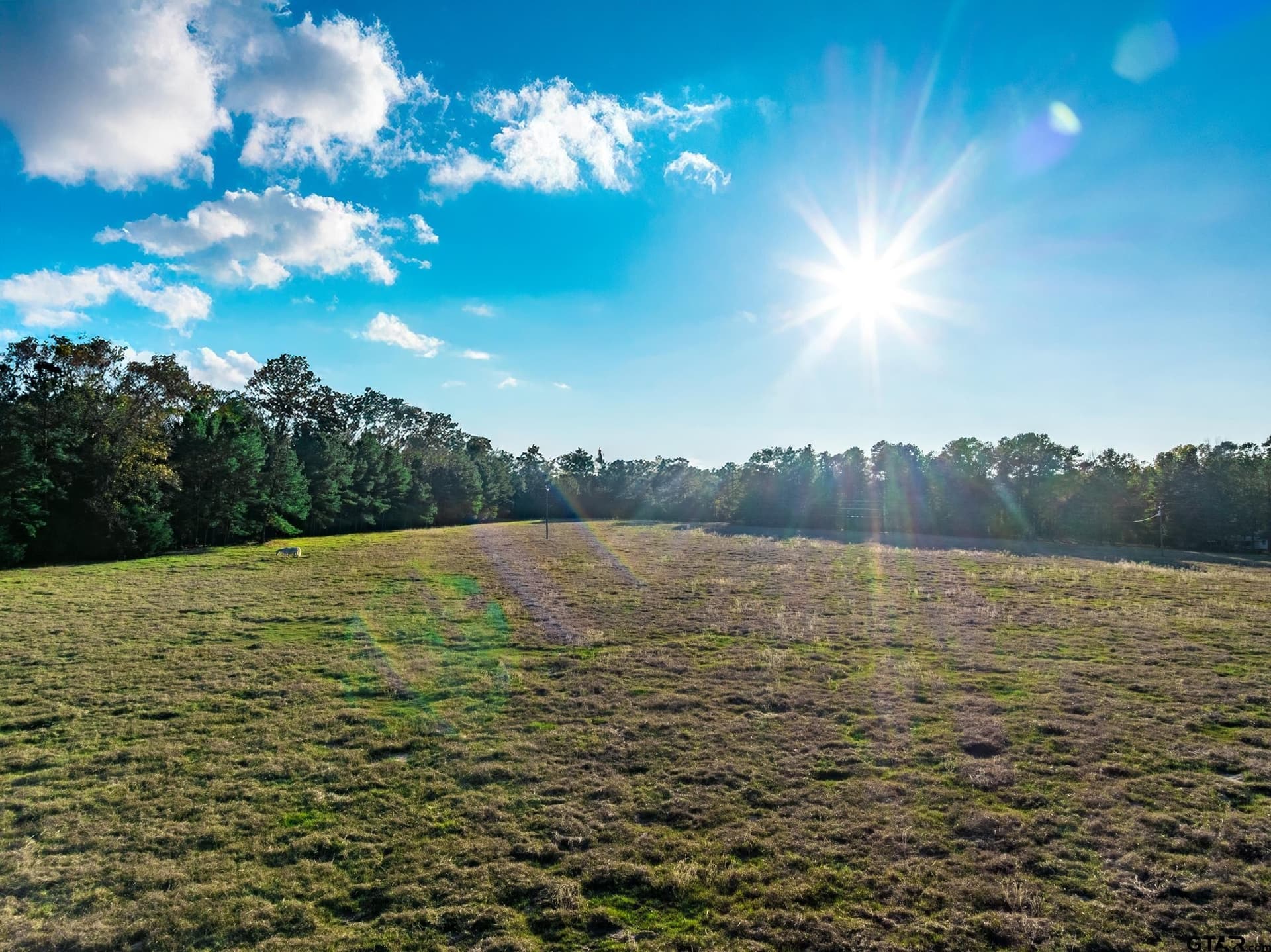35.8 acres in Anderson County - photo 16