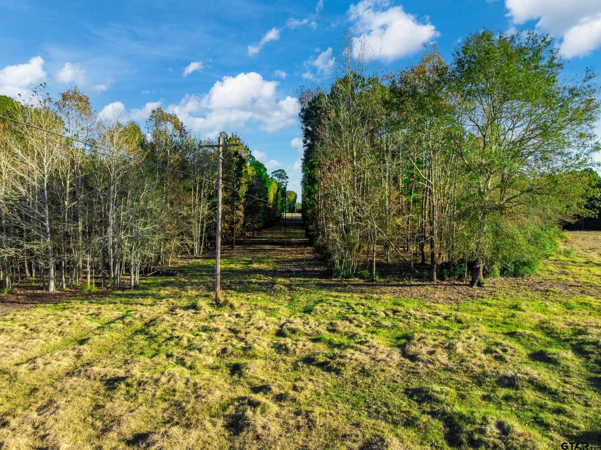 35.8 acres in Anderson County - photo 13
