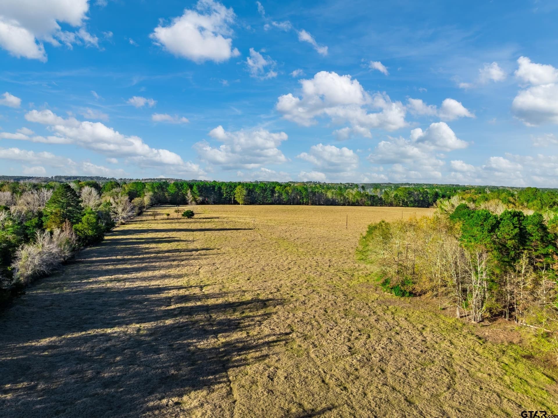 35.8 acres in Anderson County - photo 14