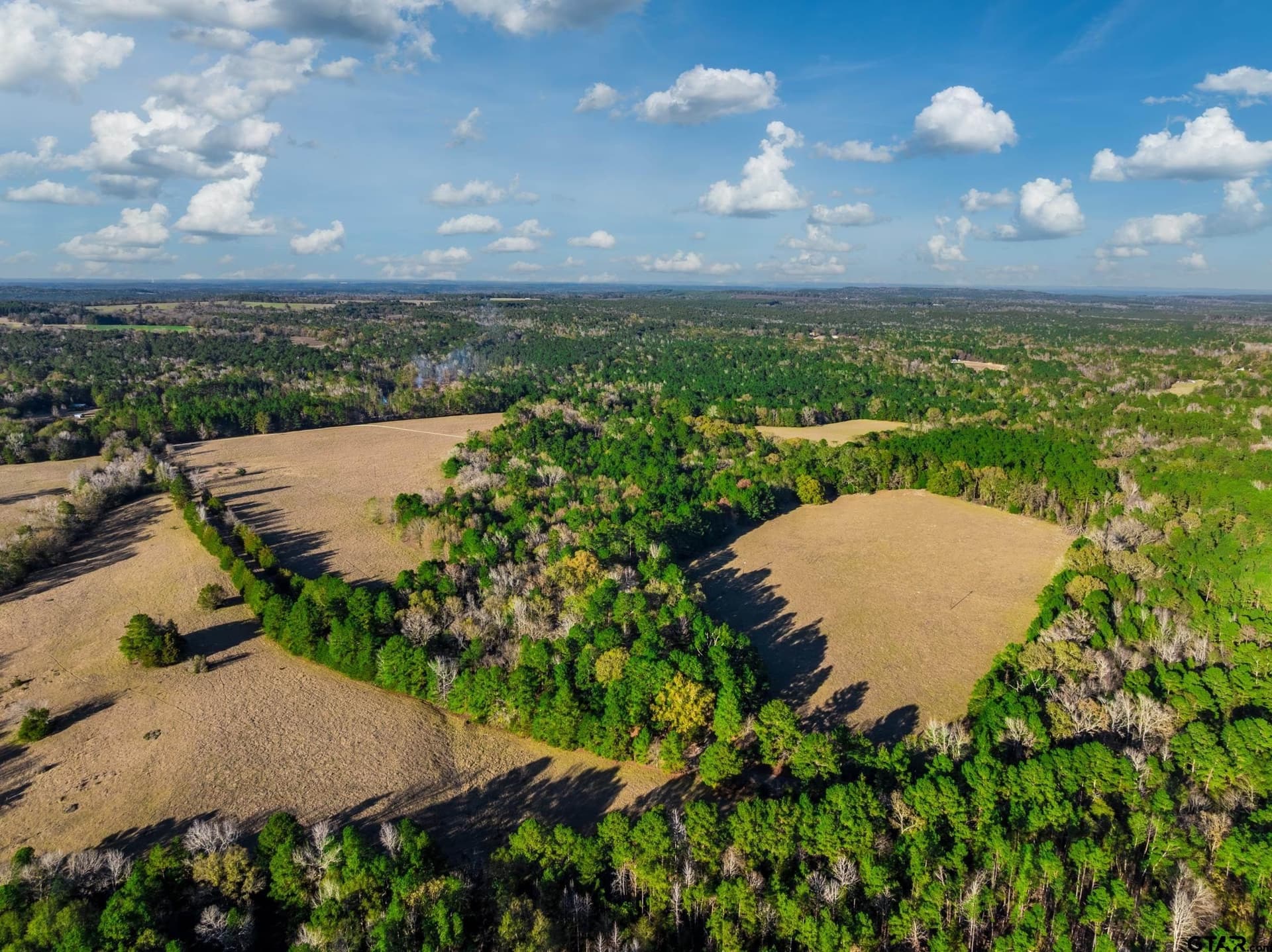 35.8 acres in Anderson County - photo 7