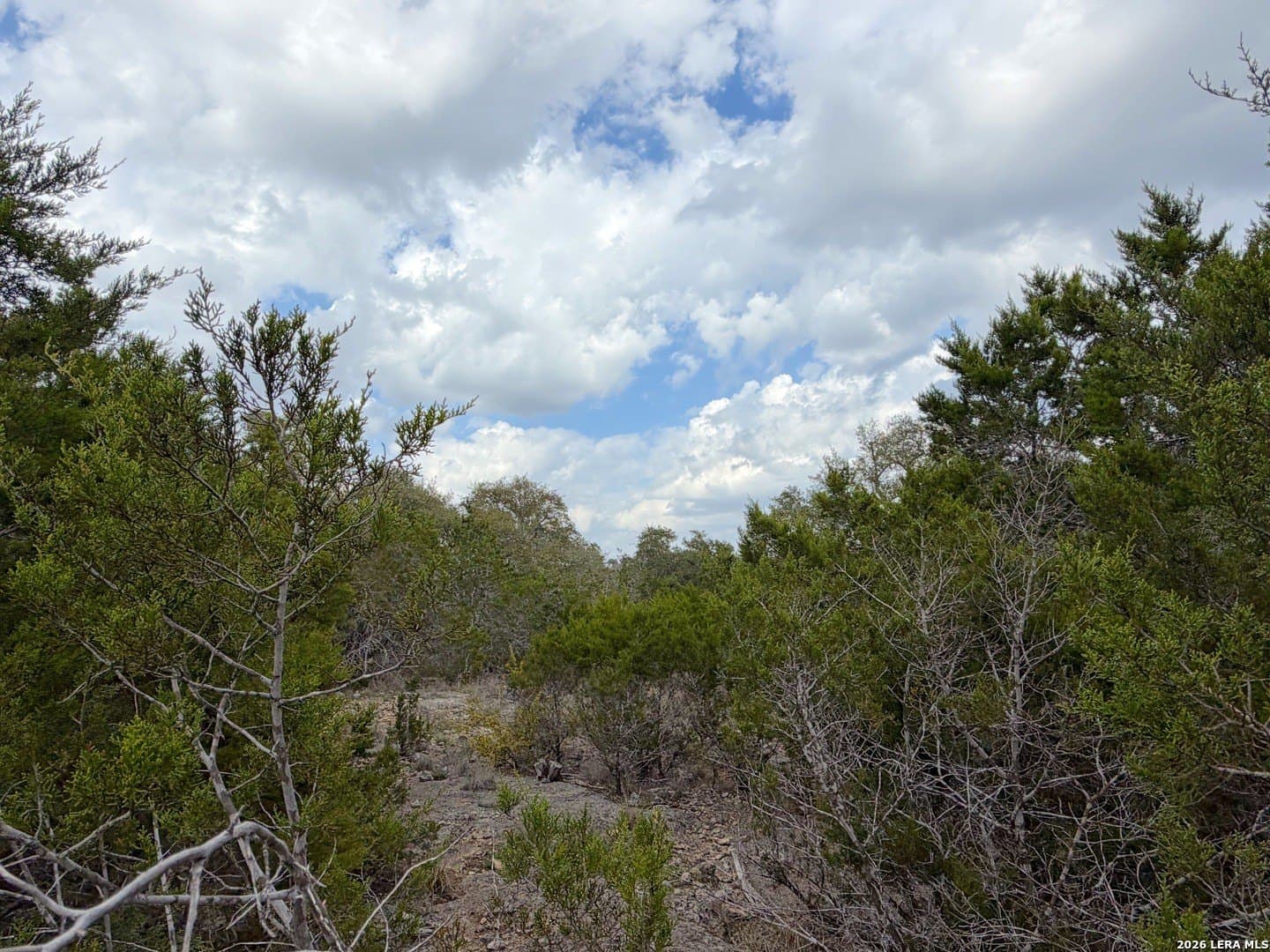 1.41 acres in Comal County - photo 11