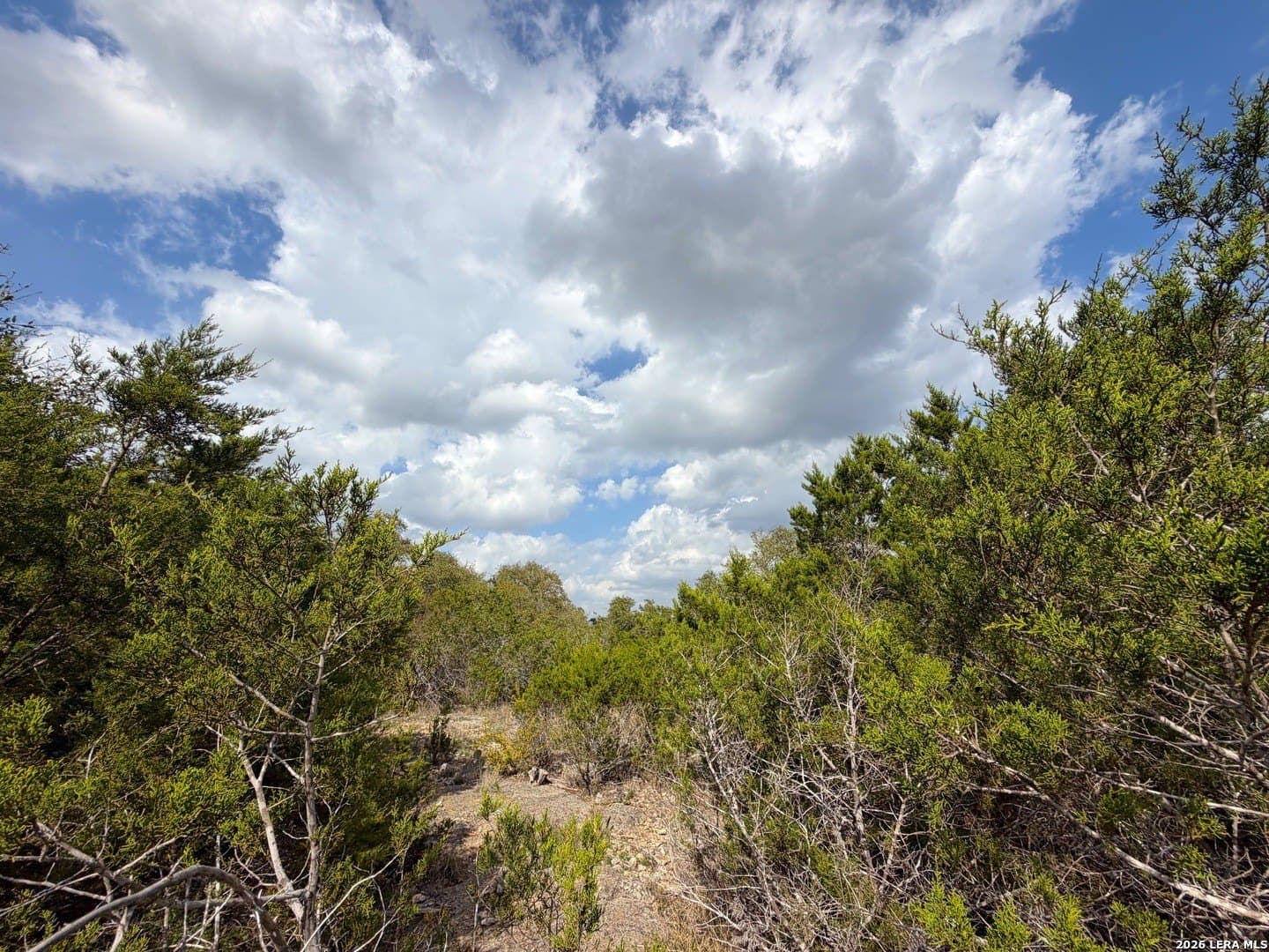 1.41 acres in Comal County - photo 6