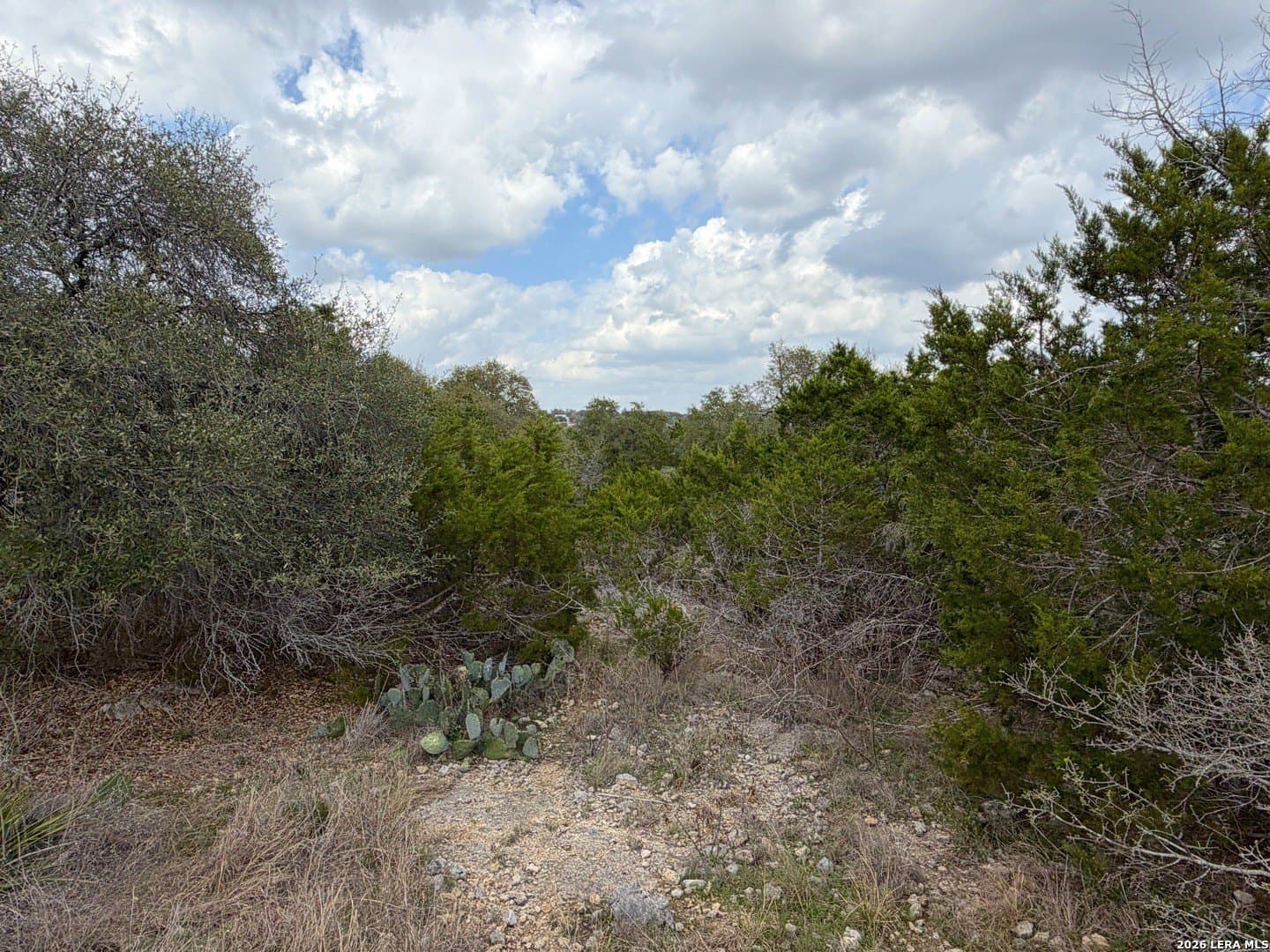 1.41 acres in Comal County - photo 10