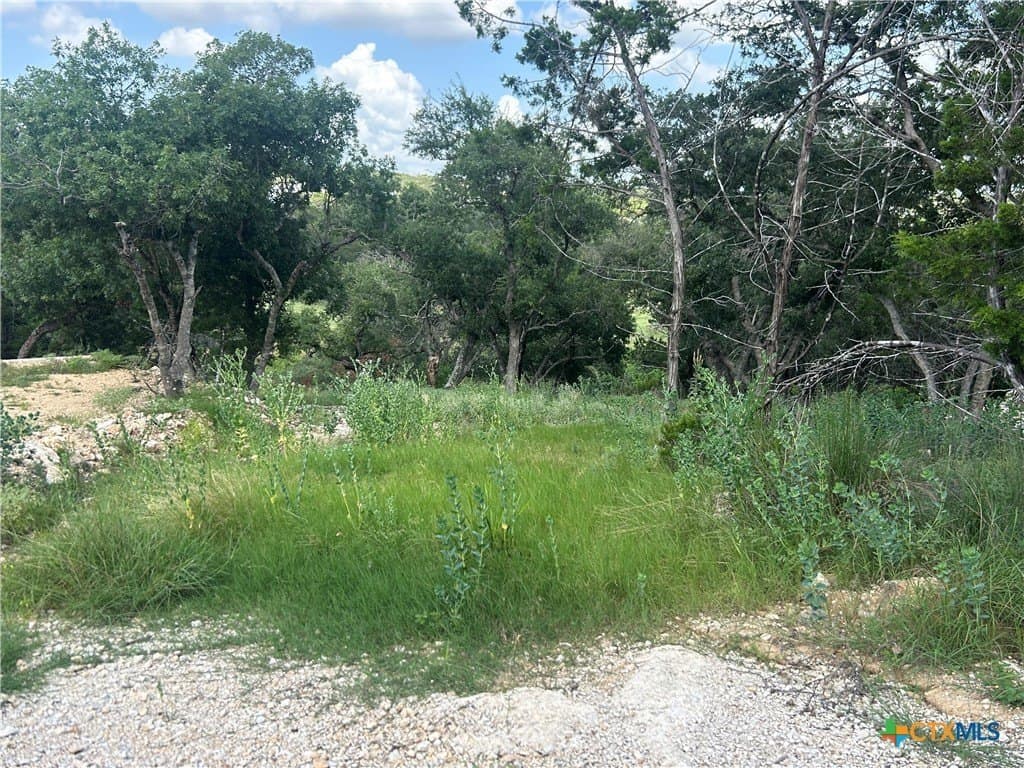 0.72 acres in Comal County - photo 2