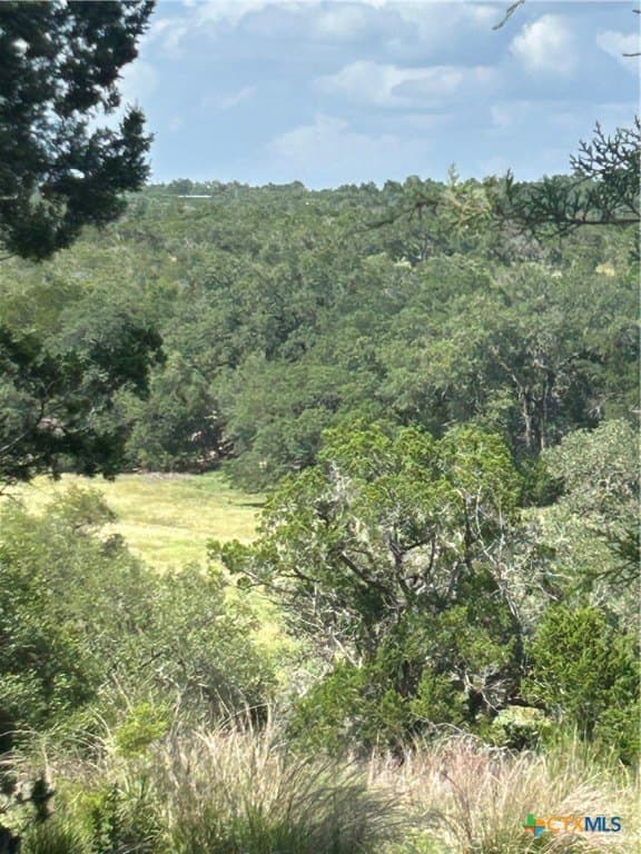 0.72 acres in Comal County - photo 5