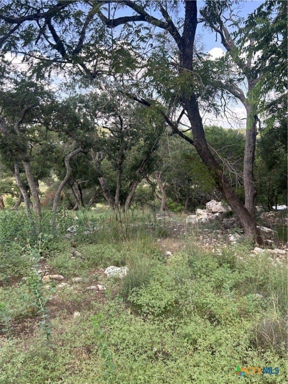 0.72 acres in Comal County - photo 3