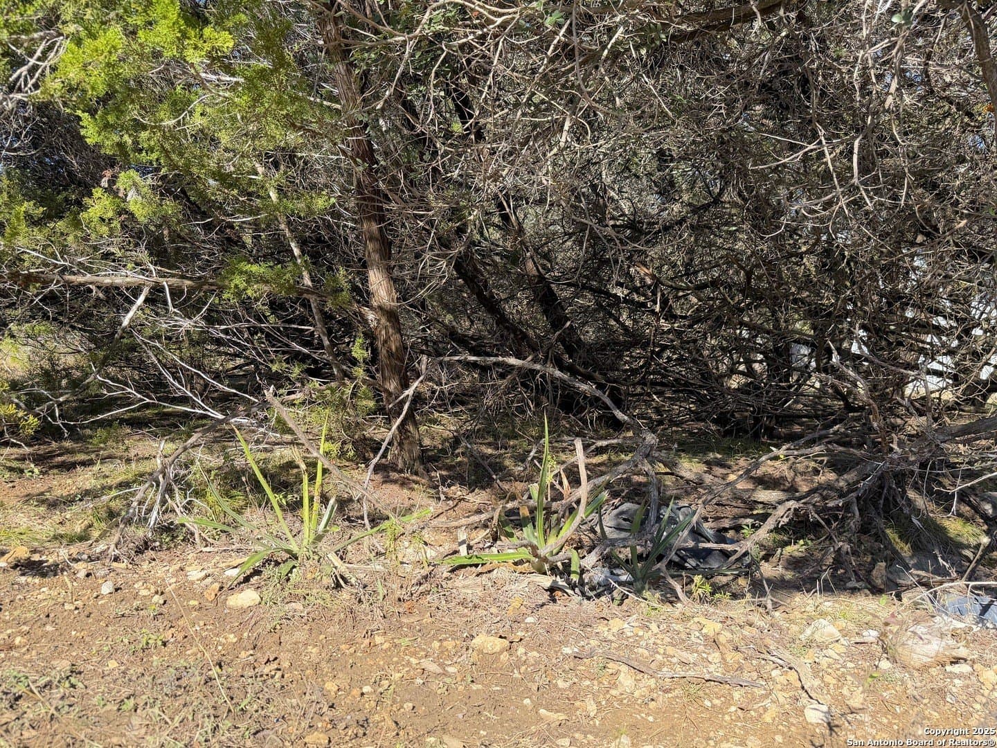 0.27 acres in Comal County - photo 9