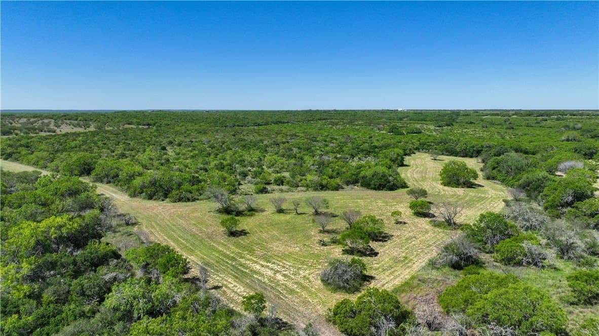 48 acres in Live Oak County - photo 16