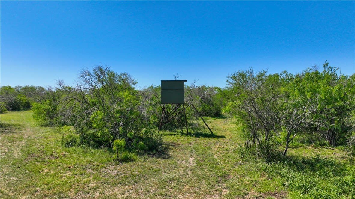 48 acres in Live Oak County - photo 5