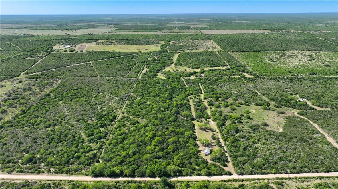 48 acres in Live Oak County - photo 3
