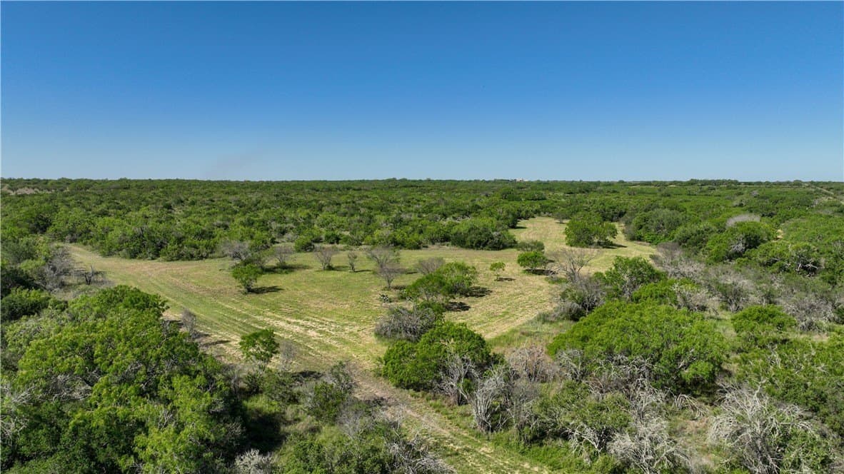 48 acres in Live Oak County - photo 2