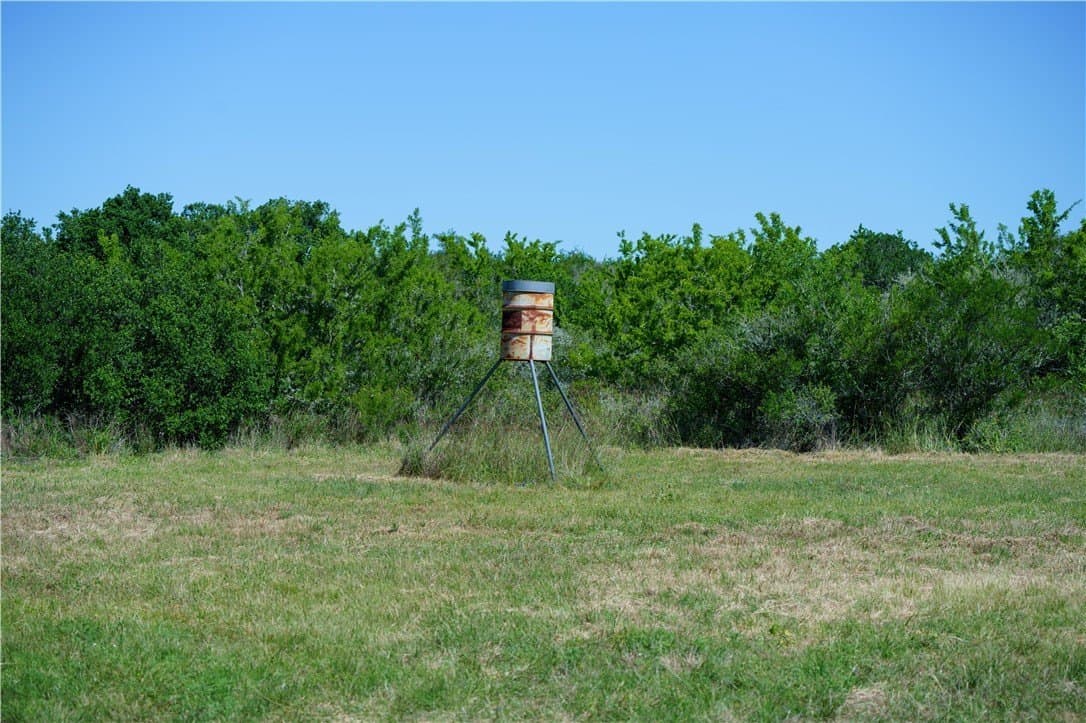 48 acres in Live Oak County - photo 6