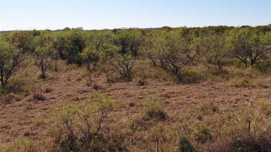 10 acres in Limestone County - photo 32