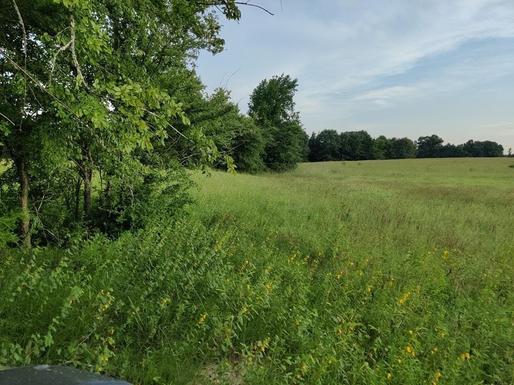 40.69 acres in ANDERSON County - photo 28