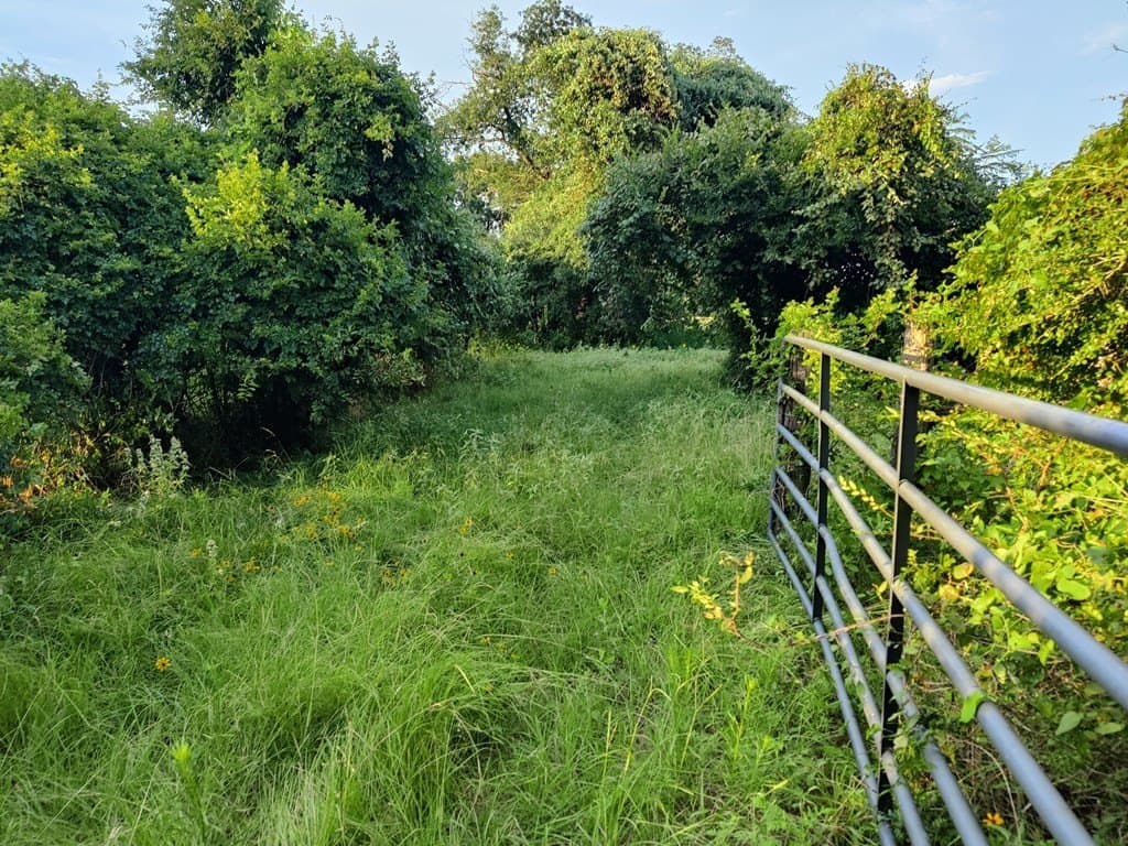 40.69 acres in ANDERSON County - photo 11