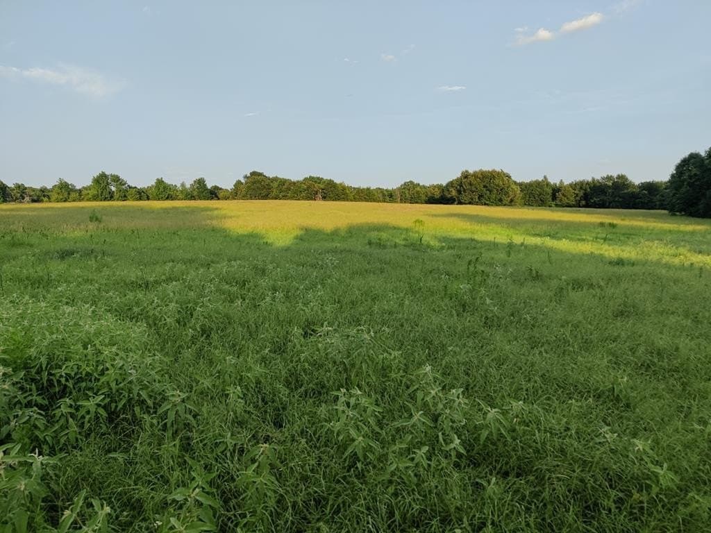 40.69 acres in ANDERSON County - photo 20