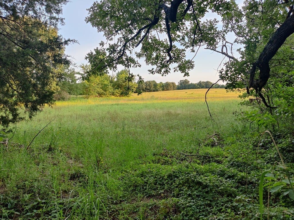 40.69 acres in ANDERSON County - photo 8