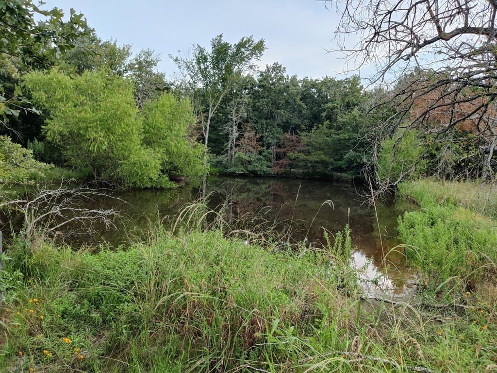 40.69 acres in ANDERSON County - photo 4
