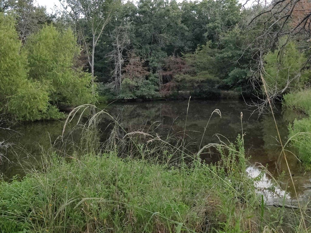 40.69 acres in ANDERSON County - photo 5