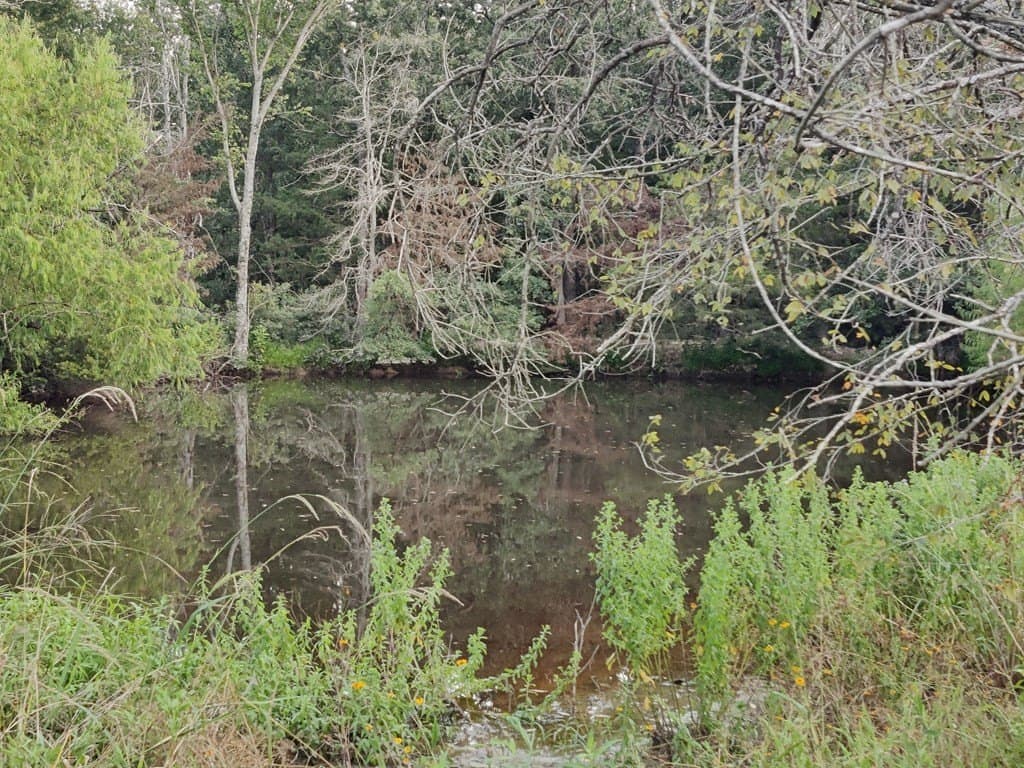 40.69 acres in ANDERSON County - photo 3
