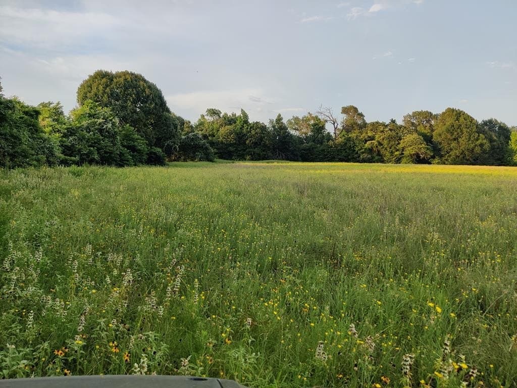 40.69 acres in ANDERSON County - photo 24